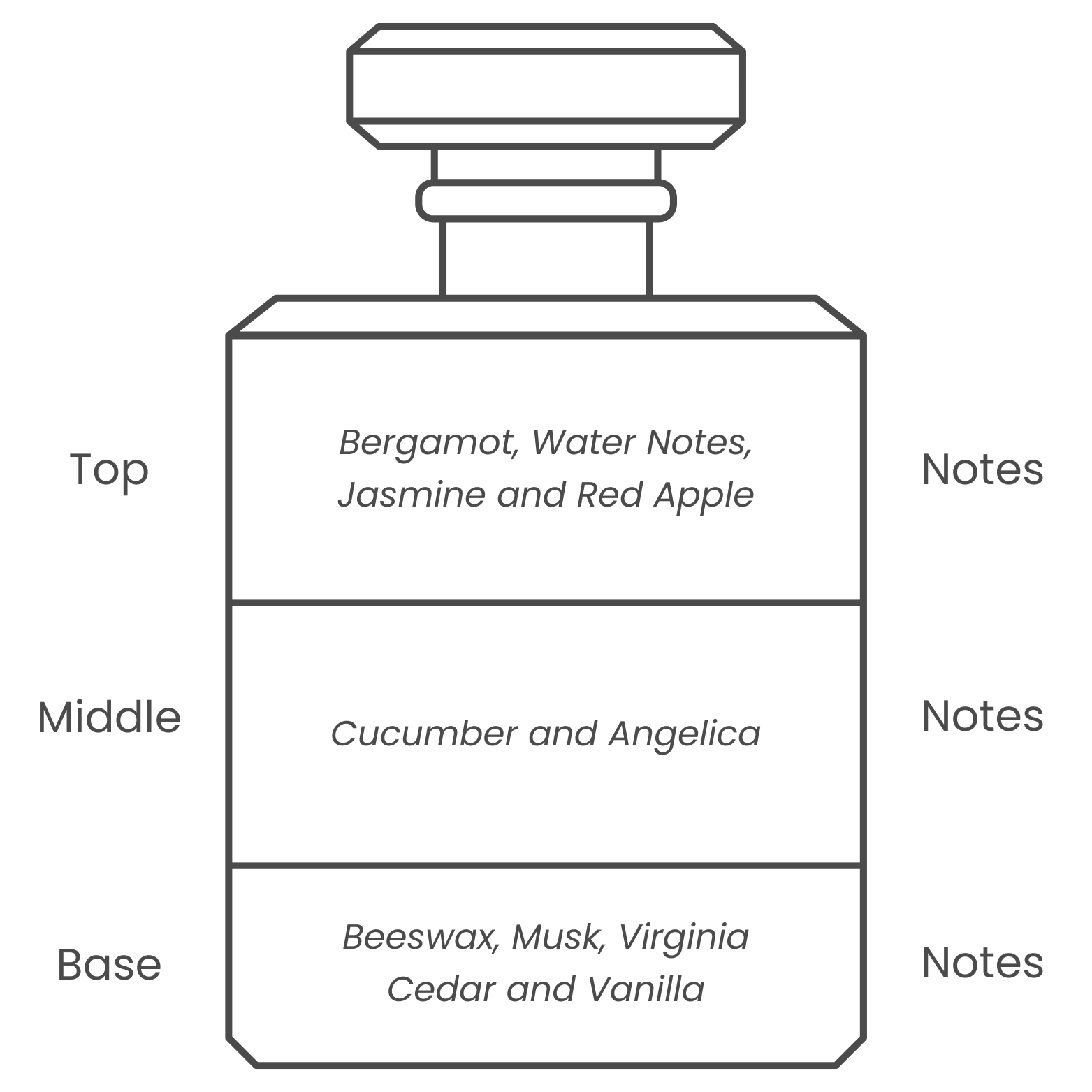 Kalahari fragrance